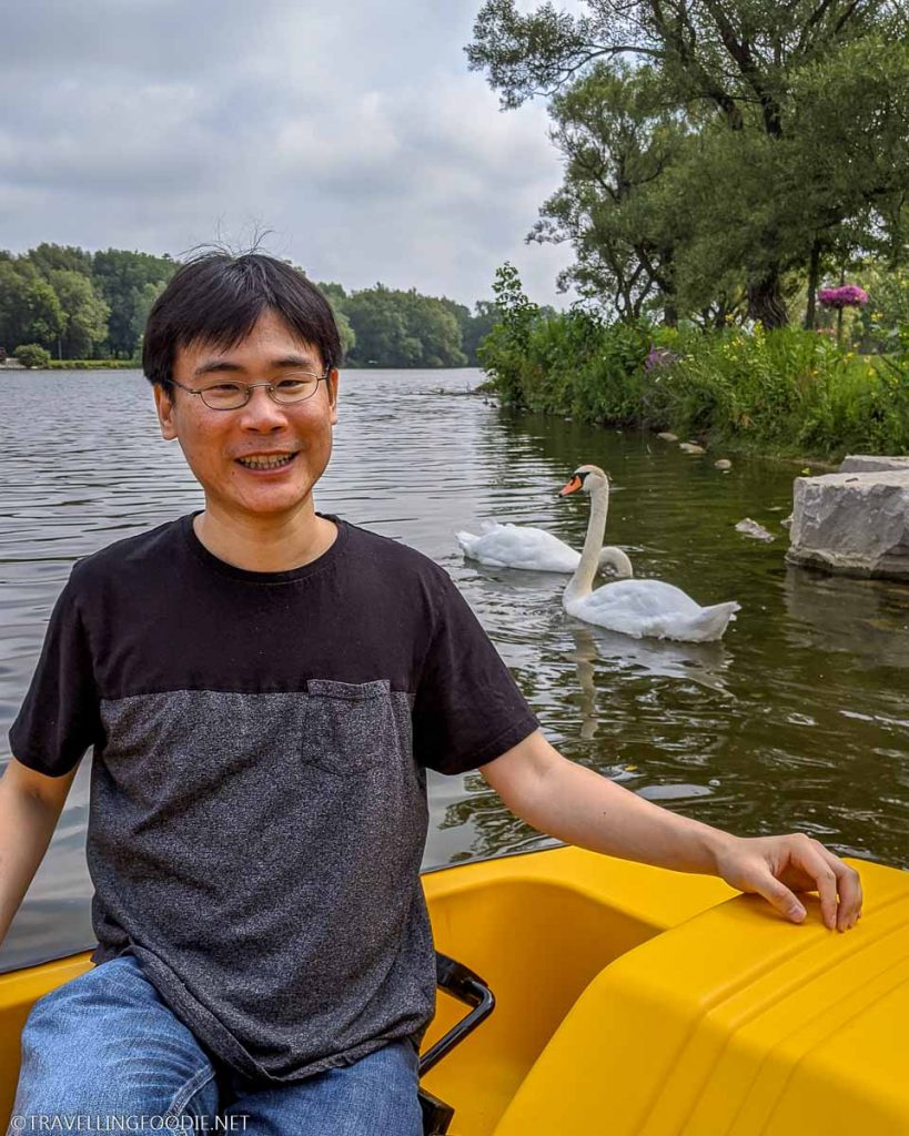 Travelling Foodie Raymond Cua on paddle boat with swans in Stratford, Ontario