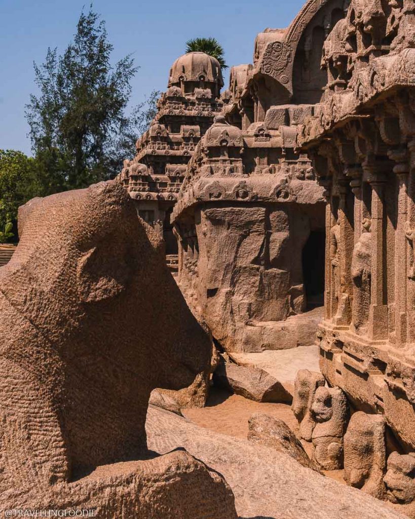 Pancha Rathas at the Group of Monuments at Mahabalipuram in India