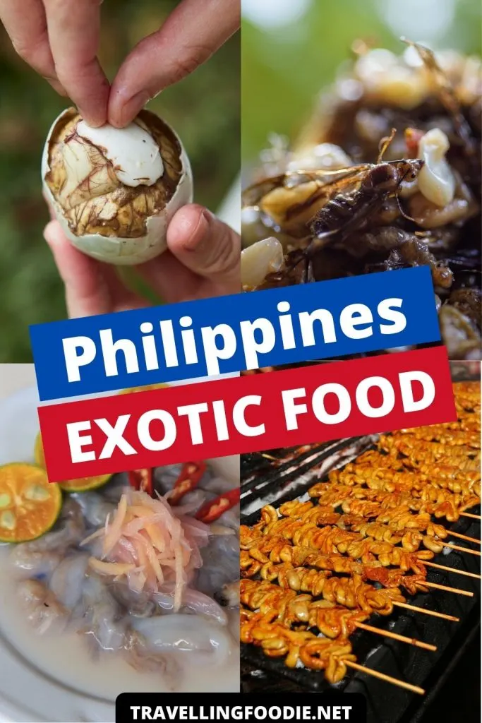 Philippines: Exotic Food Guide on Travelling Foodie