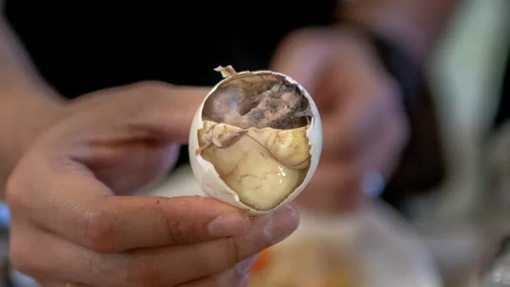 Balut Close-up at The Alley By Vikings in Manila, Philippines