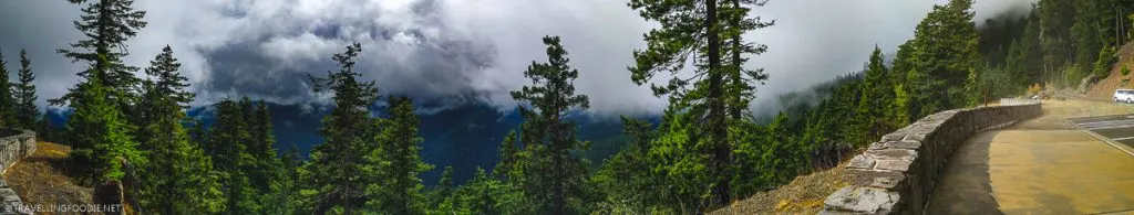 Foggy overlook at Hurricane Ridge in Olympic National Park, Washington
