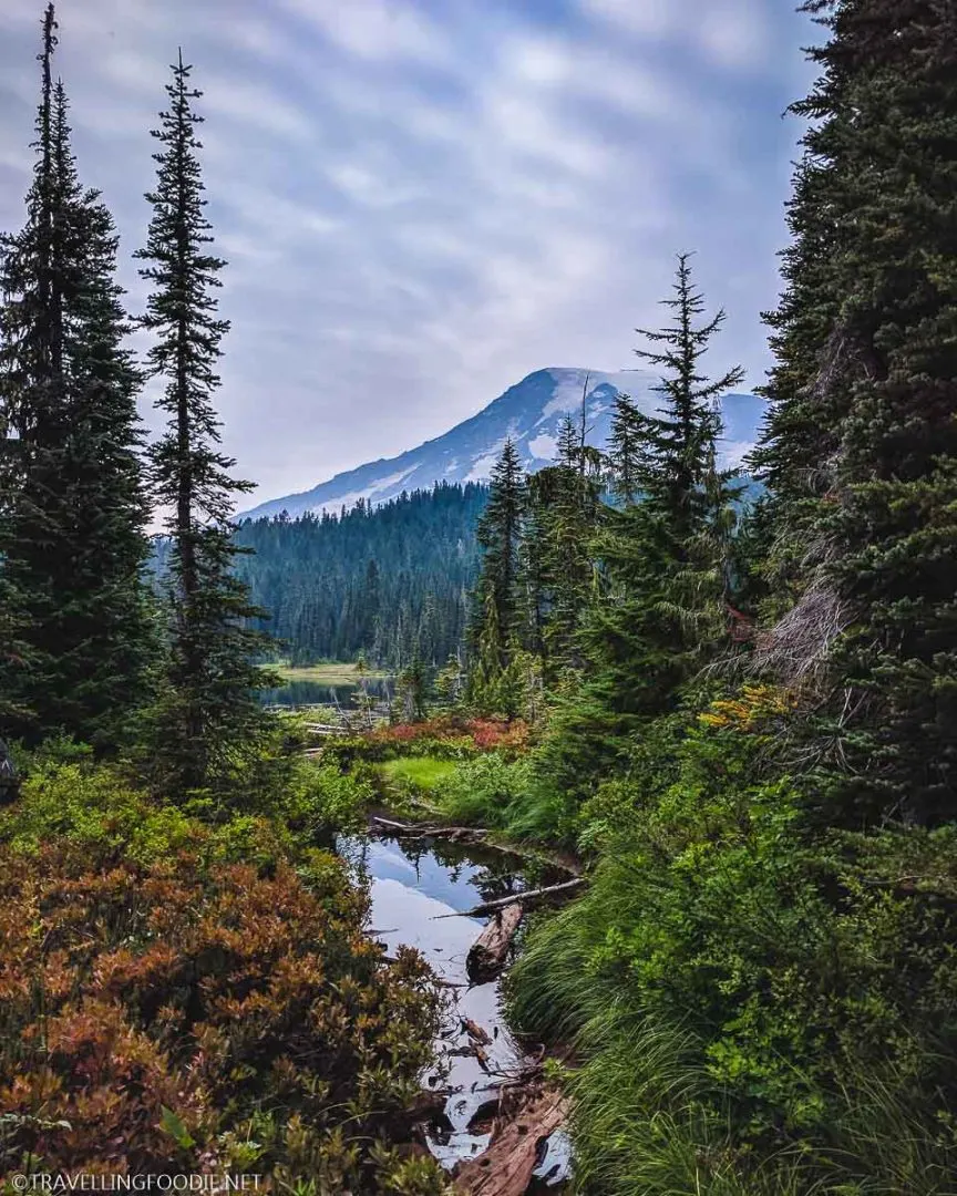 5 Best Washington Nature Attractions - Things To Do in Washington State