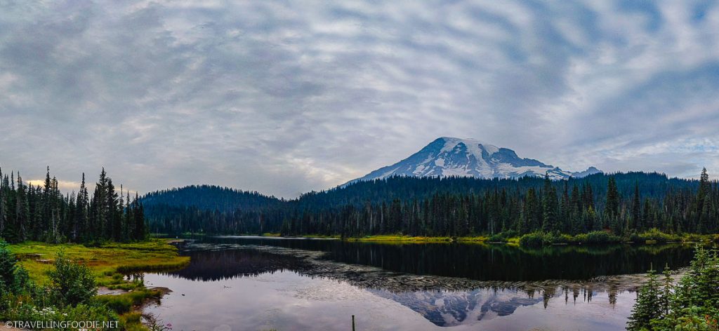 Reflection Lake Panoramic View at Mount Rainier National Park in Washington Nature