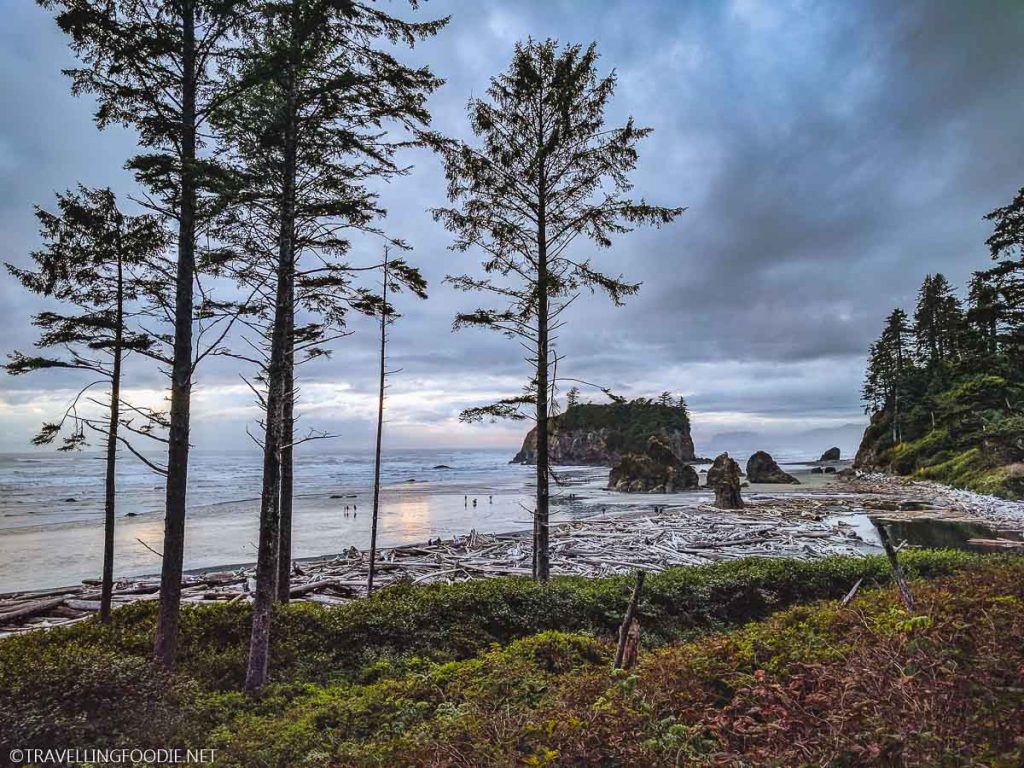 Ruby Beach from start of trail at Olympic National Park, Washington