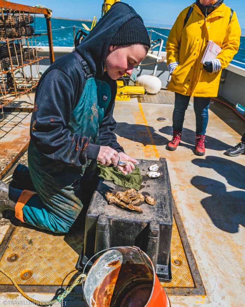 Oyster Shucking on boat with Les Cultures du Large in Magdalen Islands