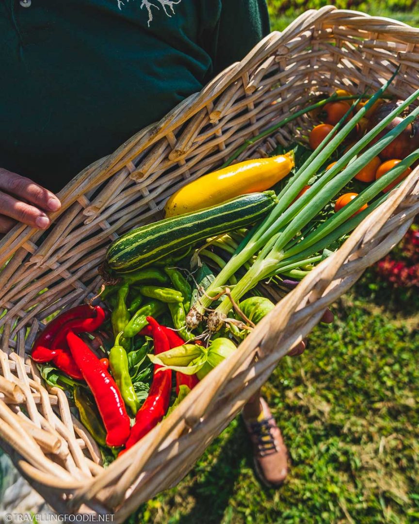 Where To Eat & Drink in State College, Pennsylvania 17 Best