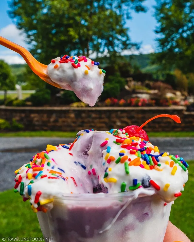 Blueberry Ice Cream scoop at Wasson Farm Market in State College, PA