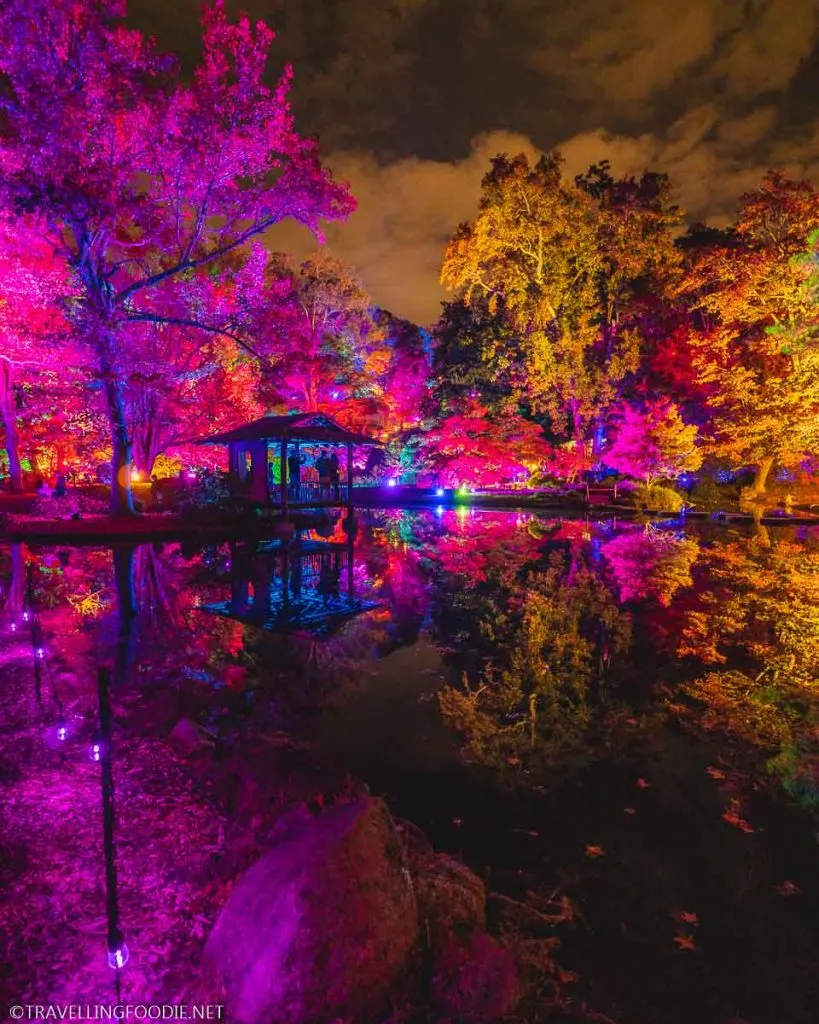 Japanese Garden Glow at Maymont in Richmond, Virginia