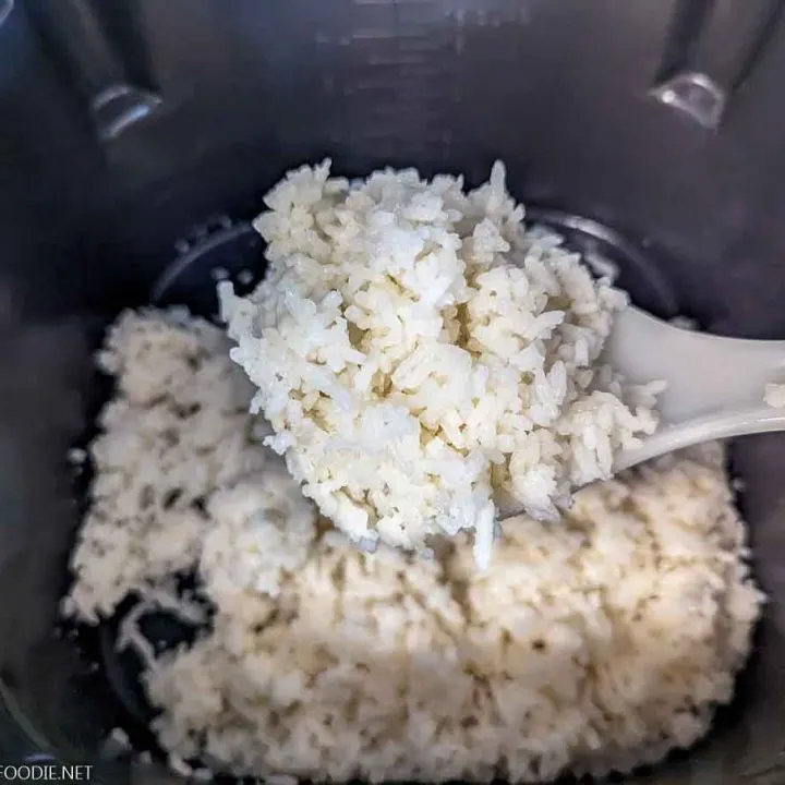 White Rice cooked on Ninja Speedi