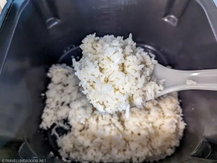 White Rice cooked on Ninja Speedi