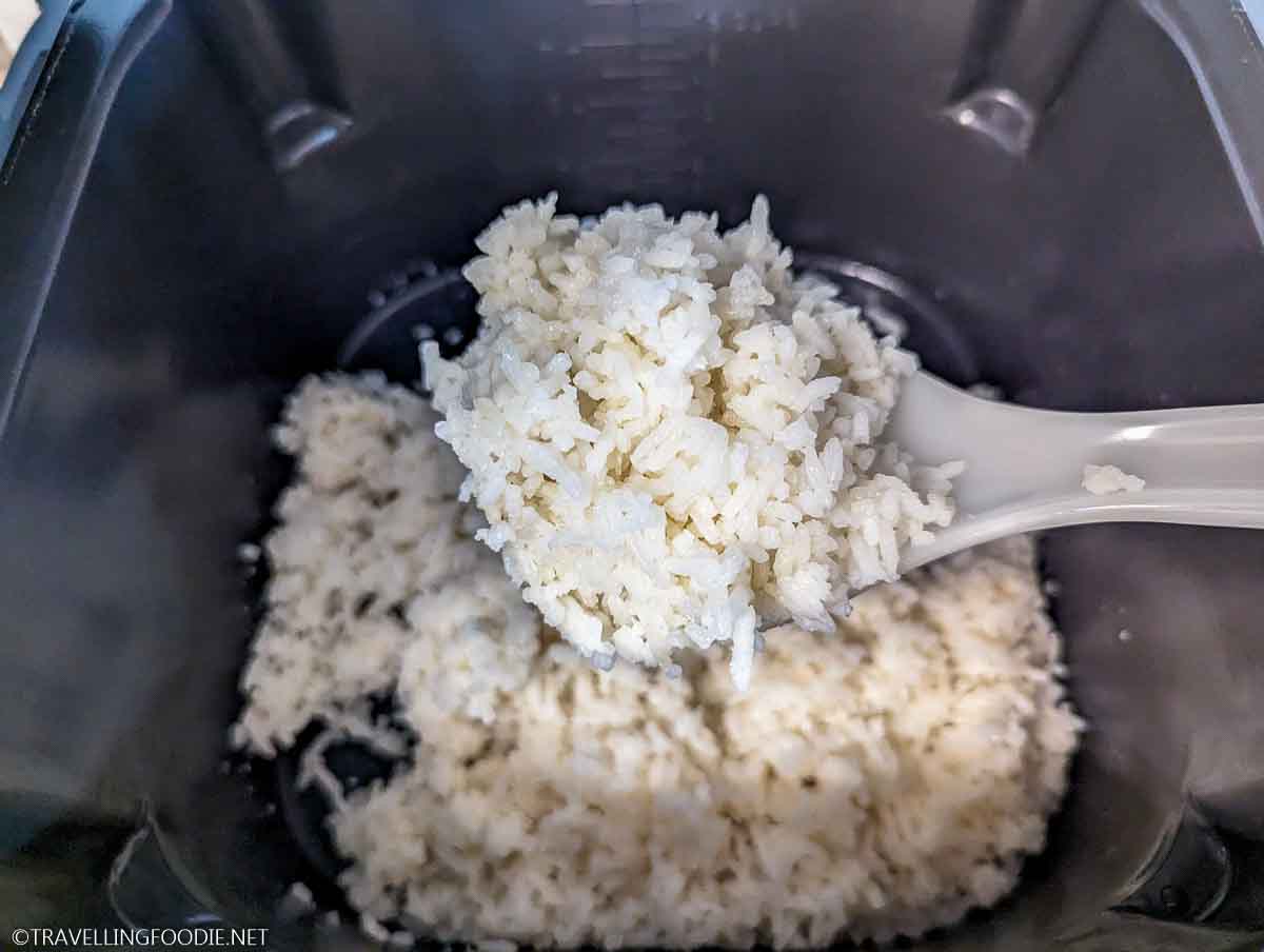 Ninja Speedi Rice - How To Cook Rice in Ninja Speedi - Travelling