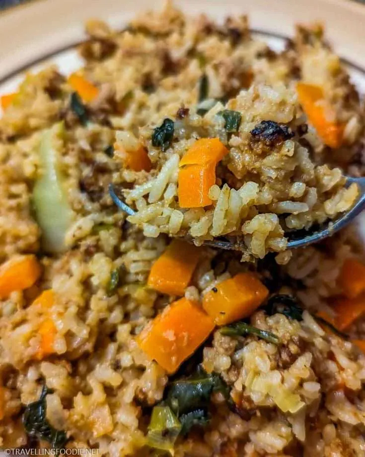 Ninja Speedi Pork Satay Fried Rice