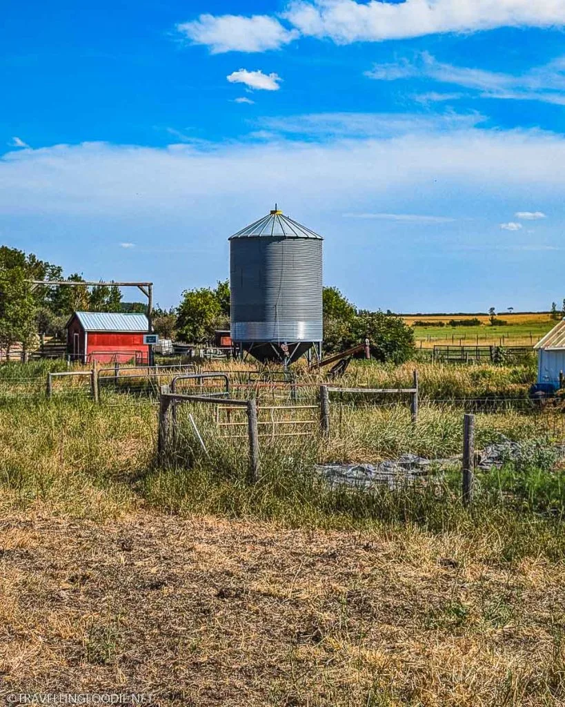 Farm One Forty Farm in Saskatchewan