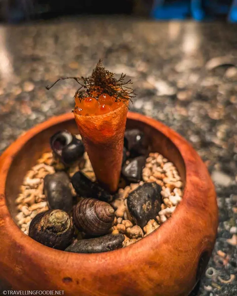 Lobster Cornetto at Michelin Star Aniar in Galway, Ireland