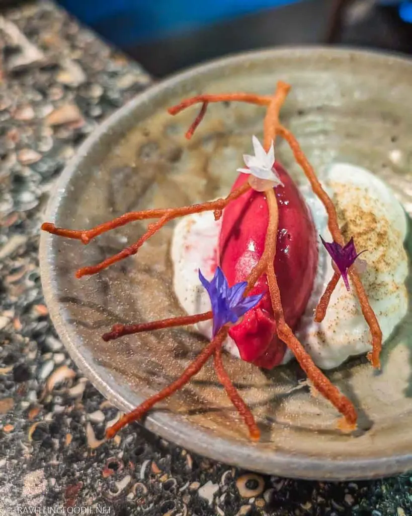 Dessert at Aniar in Galway, Ireland