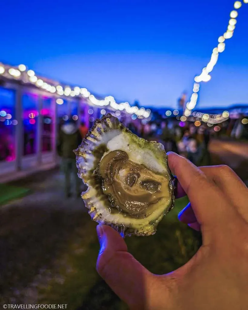 Kelly Oyster at Galway International Oyster and Seafood Festival