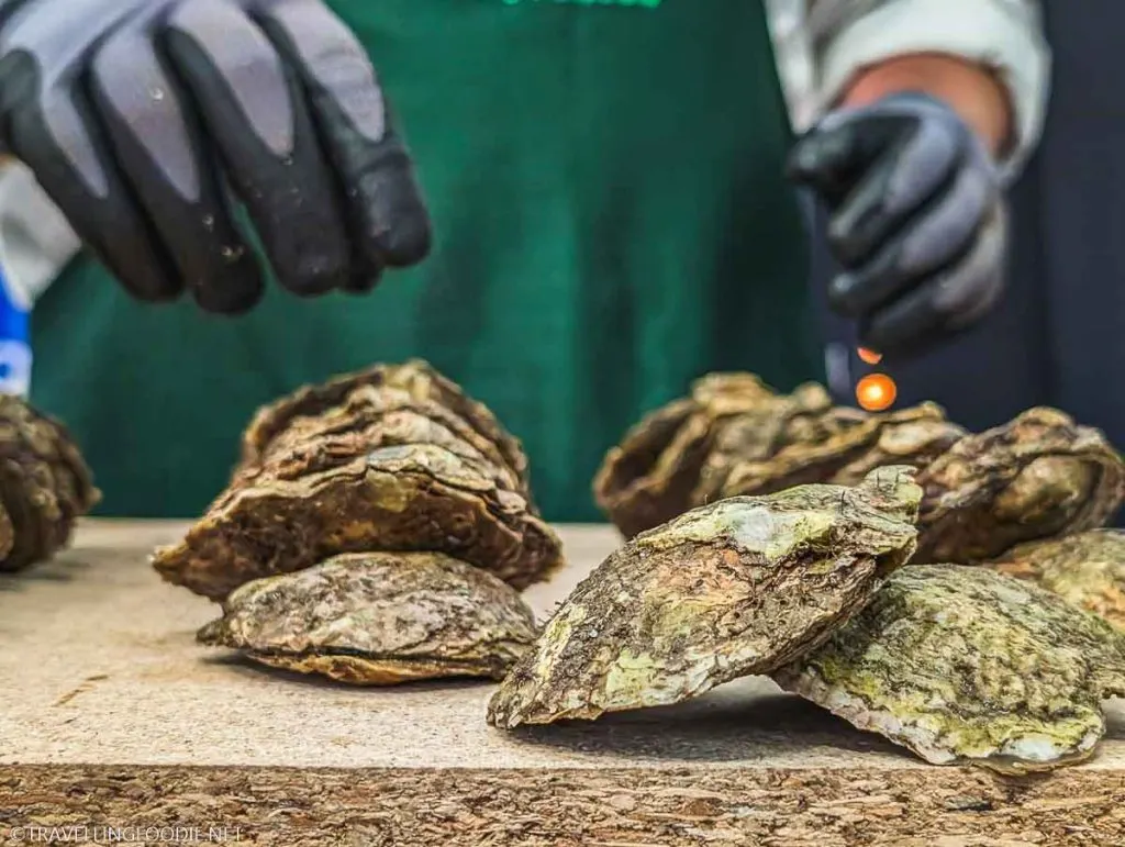 Kelly Oysters on wooden tray