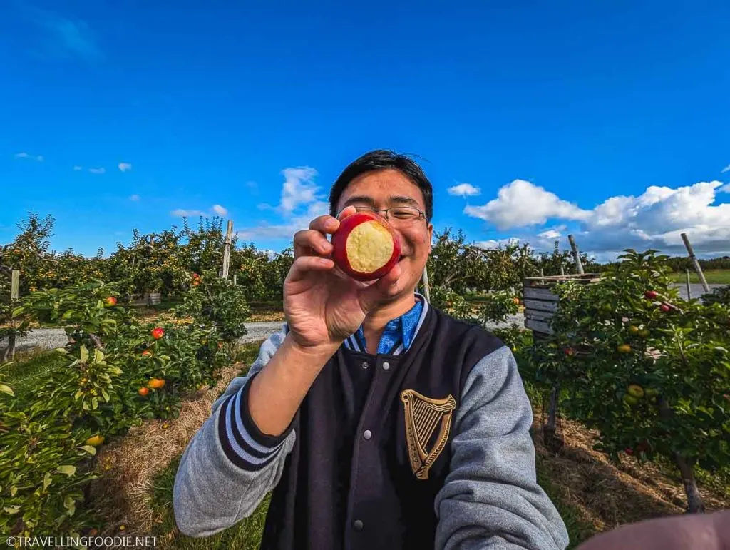 Travelling Foodie Raymond Cua eating an apple at Long Meadow Cider in Portadown, Armagh in UK