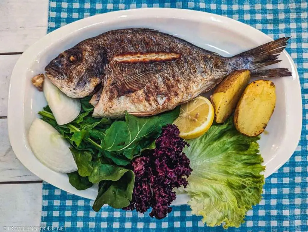Fish Plate at Bi&rsquo;Tek Efes in Sel&ccedil;uk, Turkiye