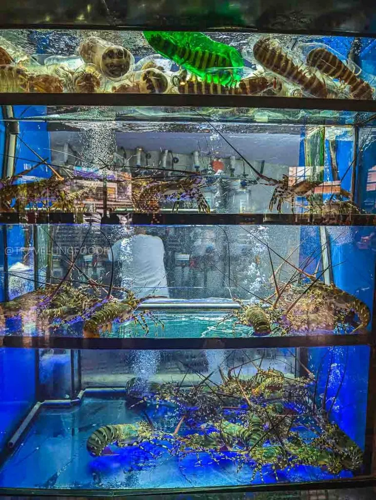 Aquarium with live seafood at Gloria Maris Shark's Fin Restaurant in Greenhill, San Juan