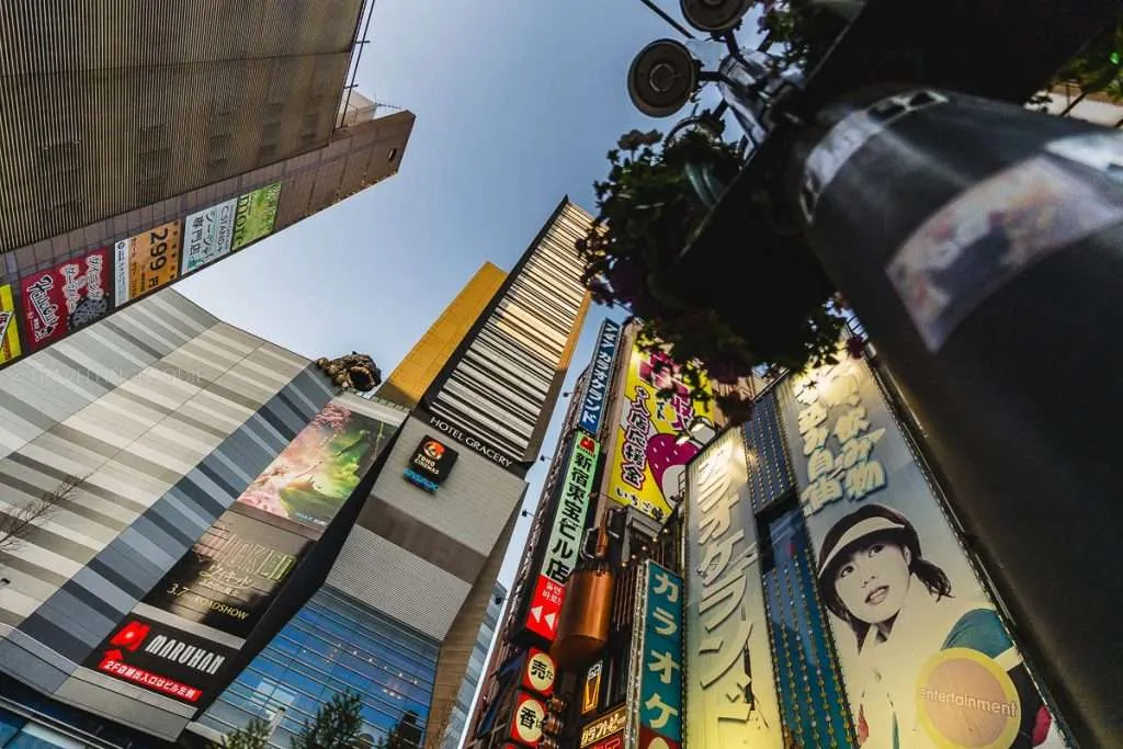 Godzilla Road, one of the best things to do in Shinjuku Tokyo