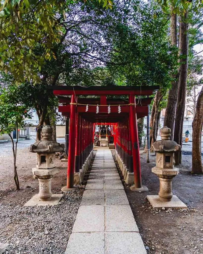 Inari Gates at Hanazono Jinja in Shinjuku Tokyo