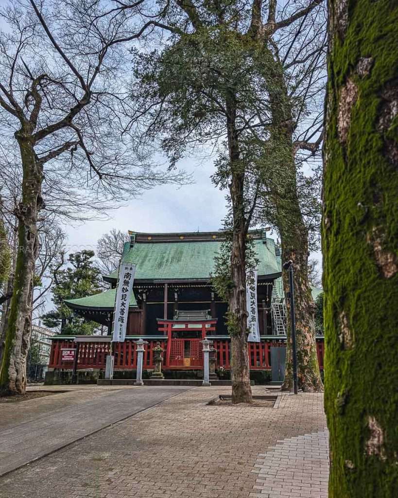 Kishimojin Temple Ikebukuro by a tree