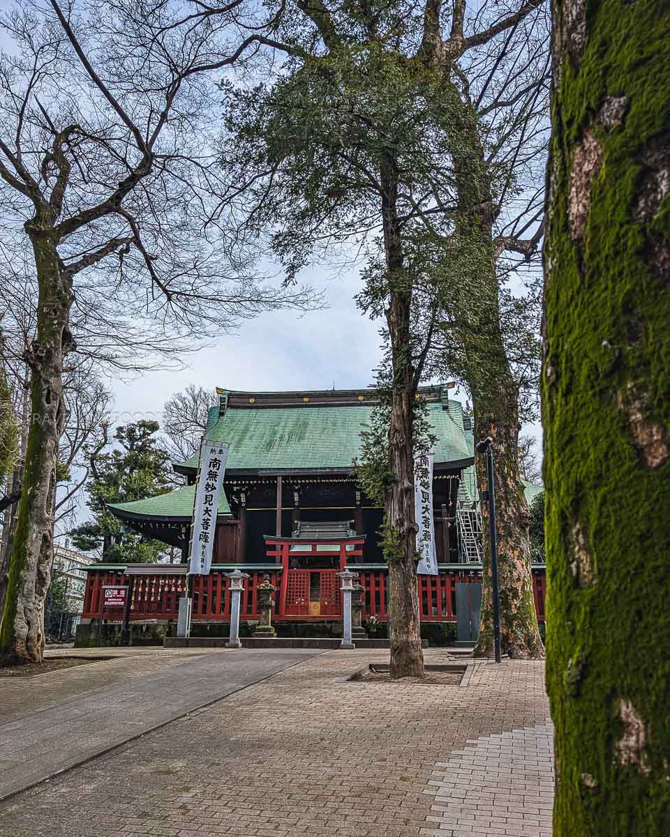Kishimojin Temple Ikebukuro by a tree