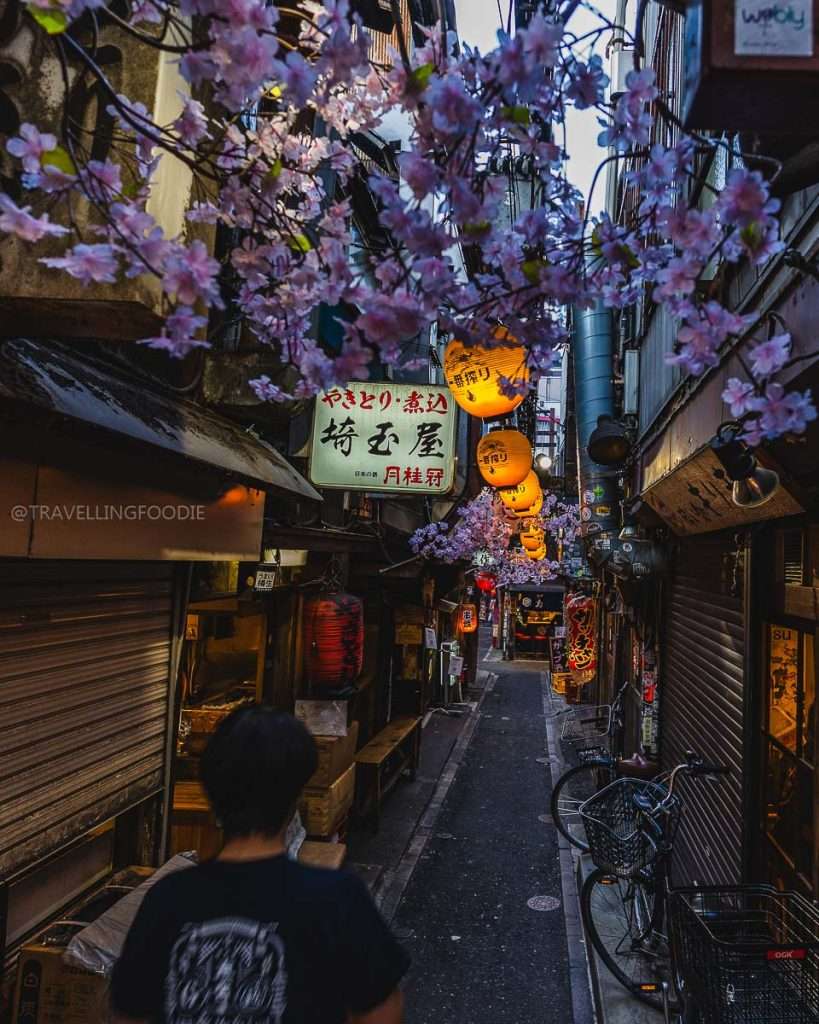Omoide Yokocho in Shinjuku Tokyo