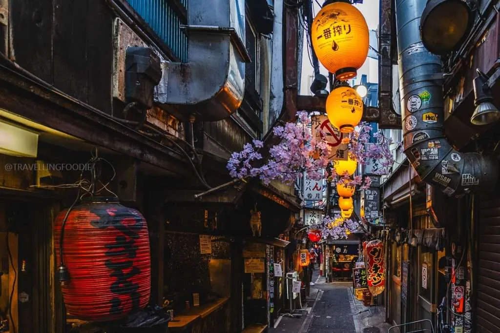 Piss Alley in Shinjuku Tokyo