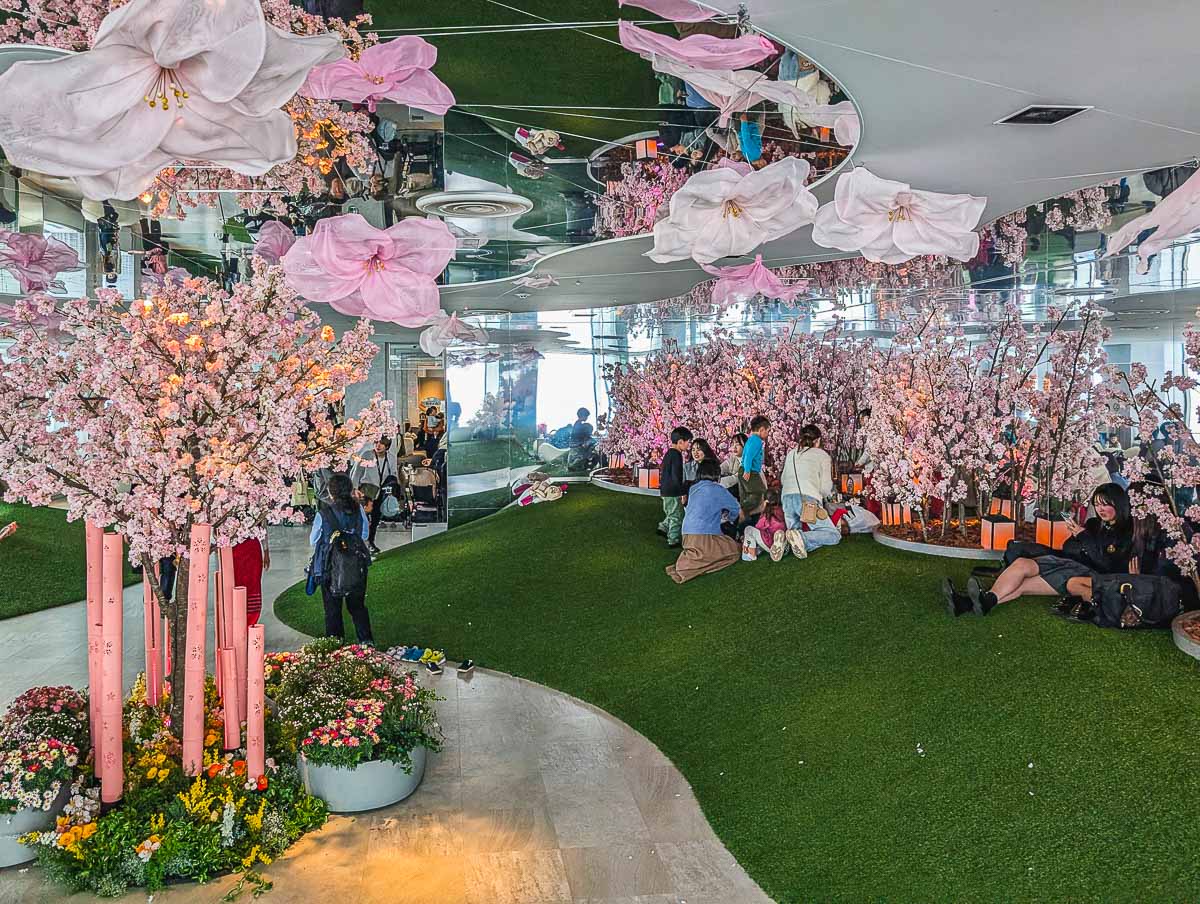 Cherry Blossoms Display at Sunshine 60 Observatory Tenbou-Park Ikebukuro