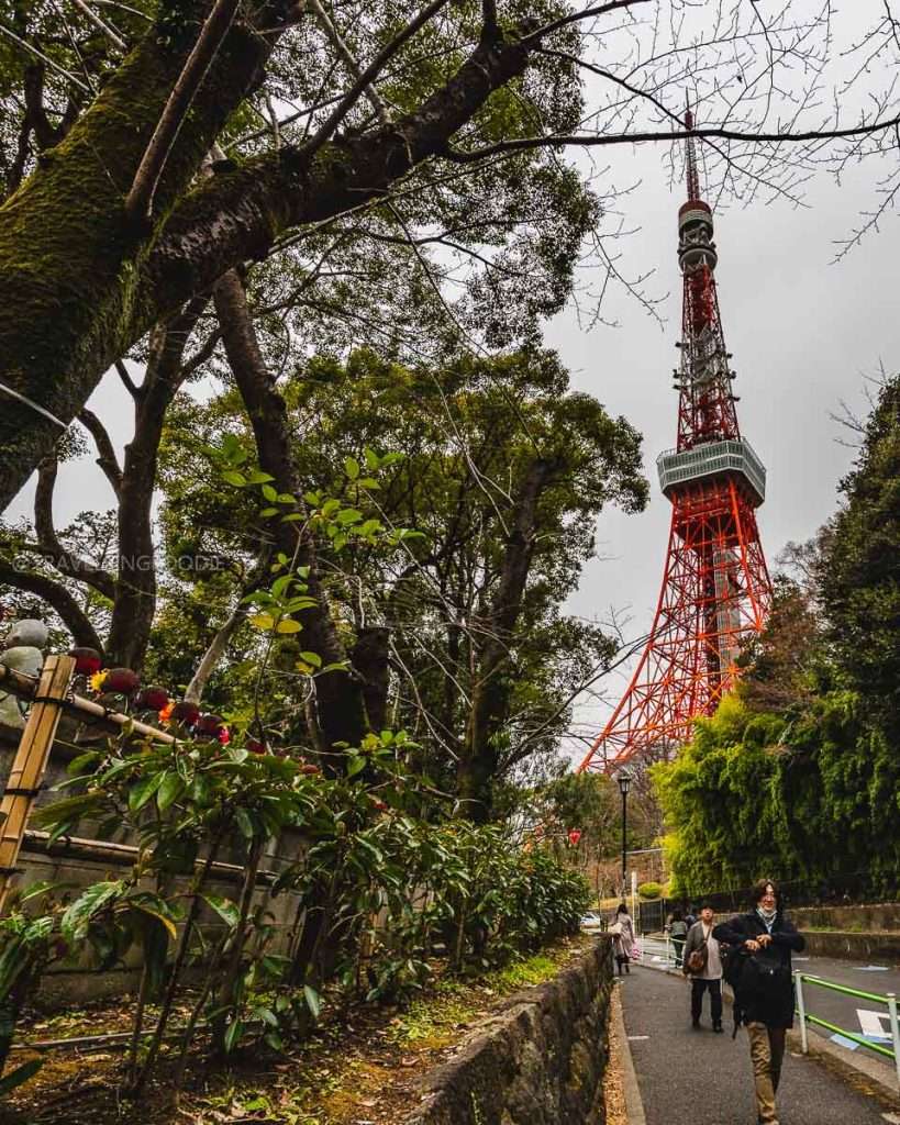 Tokyo Tower, one of the best things to do in Shiba