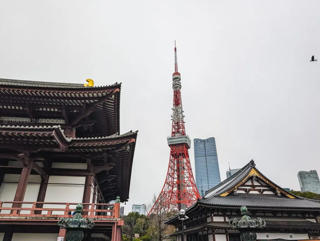 Shiba Tokyo Travel Guide and Vacation Tips for First Timers - Travelling  Foodie