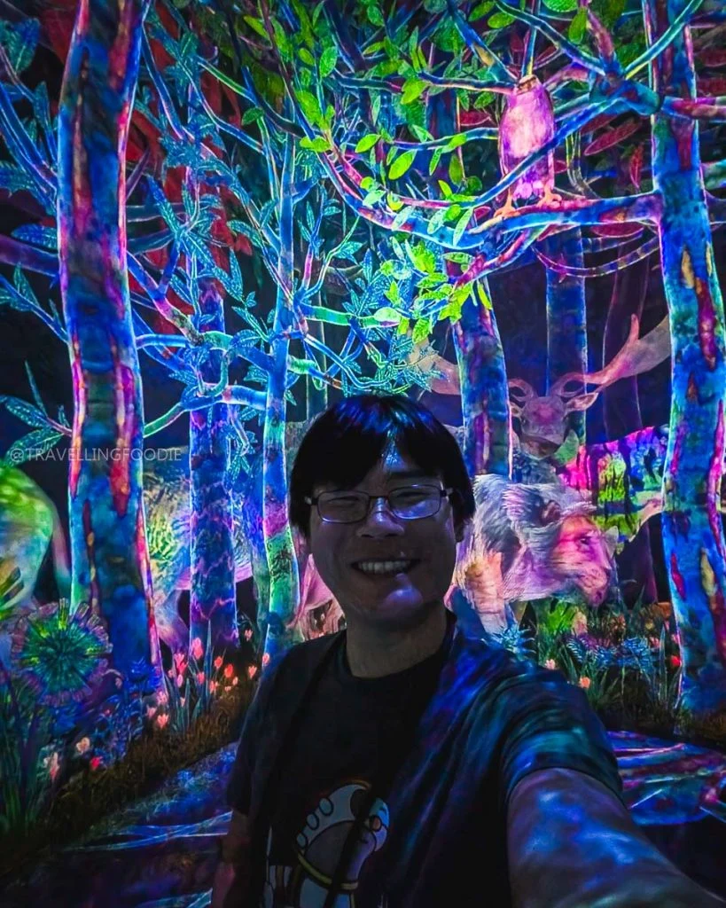 Travelling Foodie Raymond Cua at Digital Art Museum in Toyosu, Tokyo