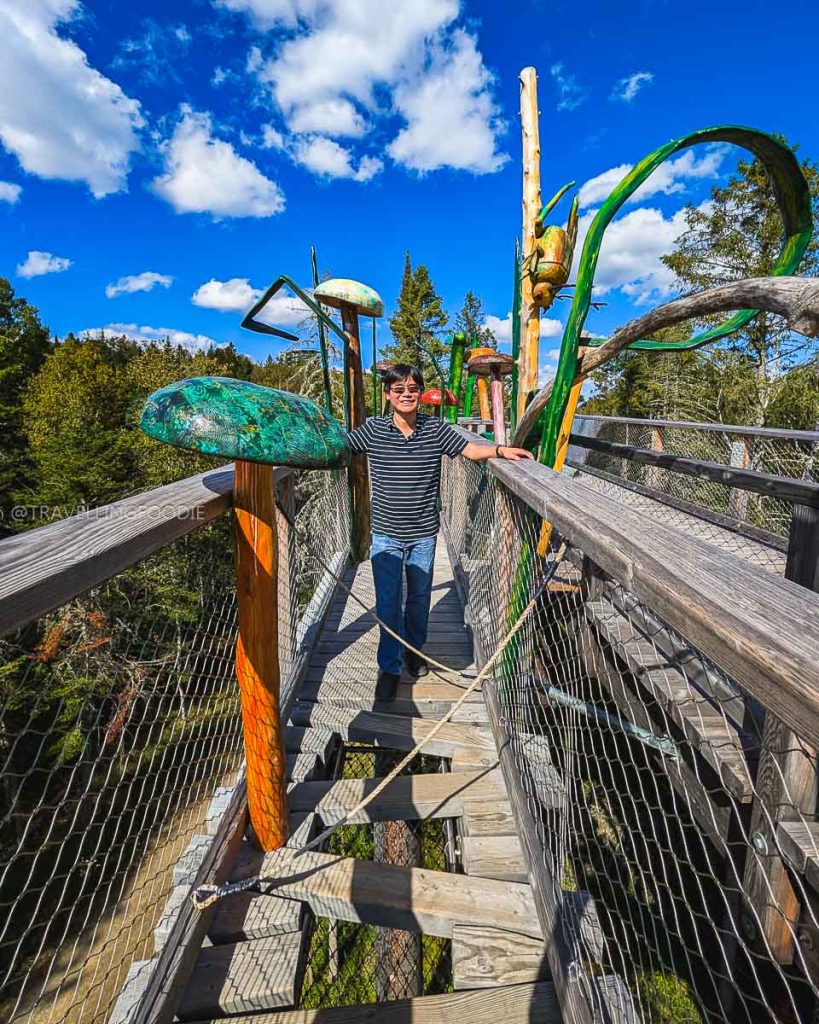 Treetop Walk at Sentier des cimes Laurentians
