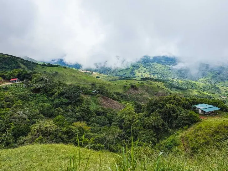 Cloud Forest in Monteverde, Costa Rica