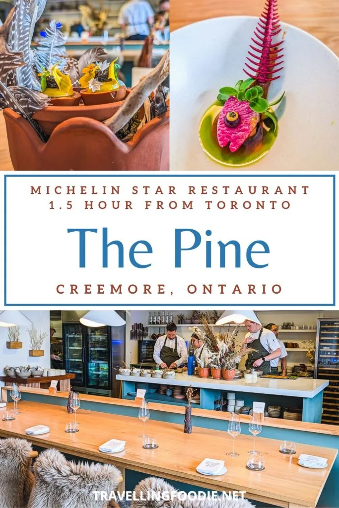 Michelin Star Restaurant The Pine in Creemore, Ontario, 1.5 hour from Toronto. Review on Travelling Foodie. Collage of interior, Chef's Counter, and creative tasting menu dishes with red fish bone cracker.