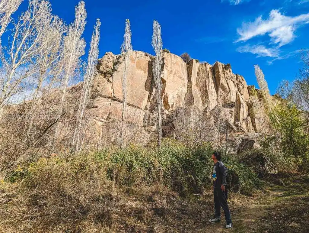 Looking up at the towering canyon cliffs and tall trees while hiking through the Ihlara Valley on the Cappadocia Green Tour