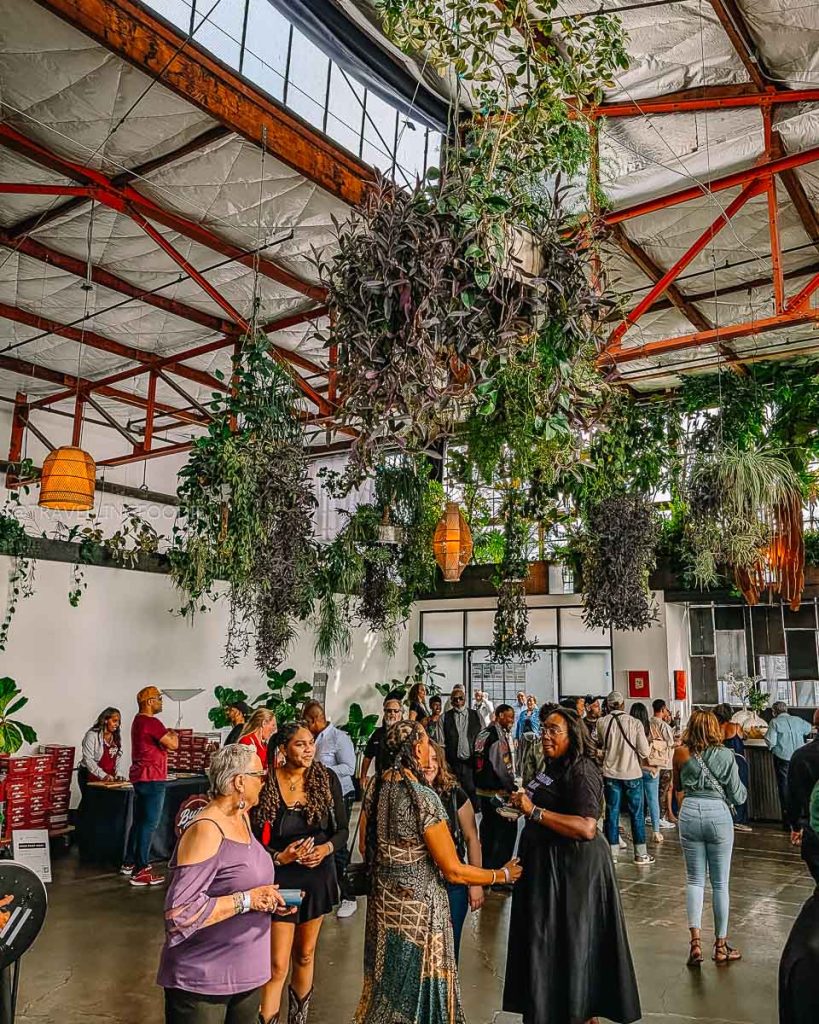 Exploring the Black Vines wine festival, a highly celebrated unique Berkeley food and drink experience.