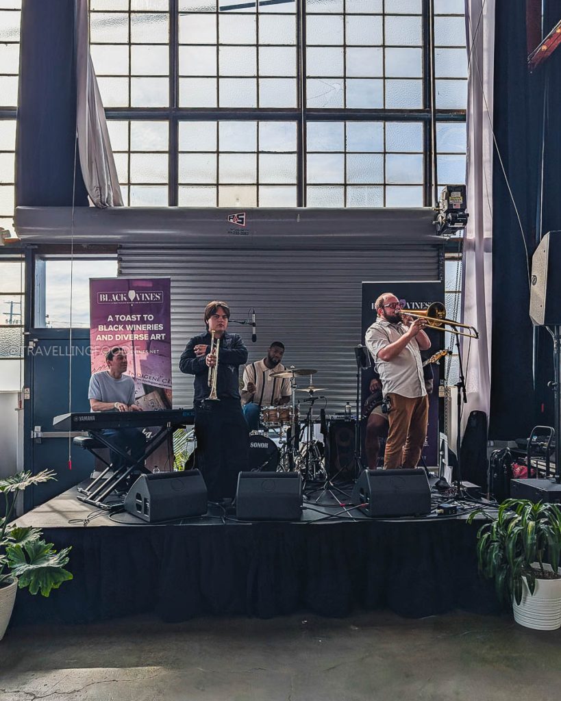 Live band performing at the Black Vines wine festival, a vibrant cultural and Berkeley drink experience.
