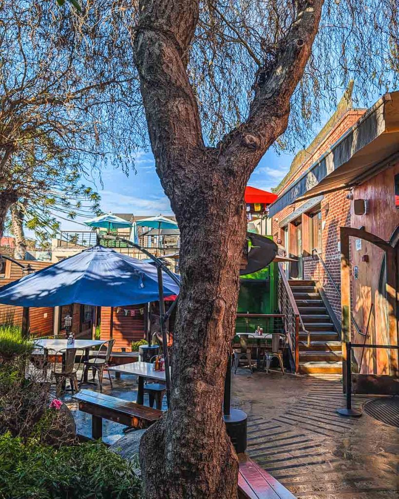 Lush outdoor patio dining at Eggy's Neighborhood Kitchen, a top recommendation for Berkeley breakfast and cafes.