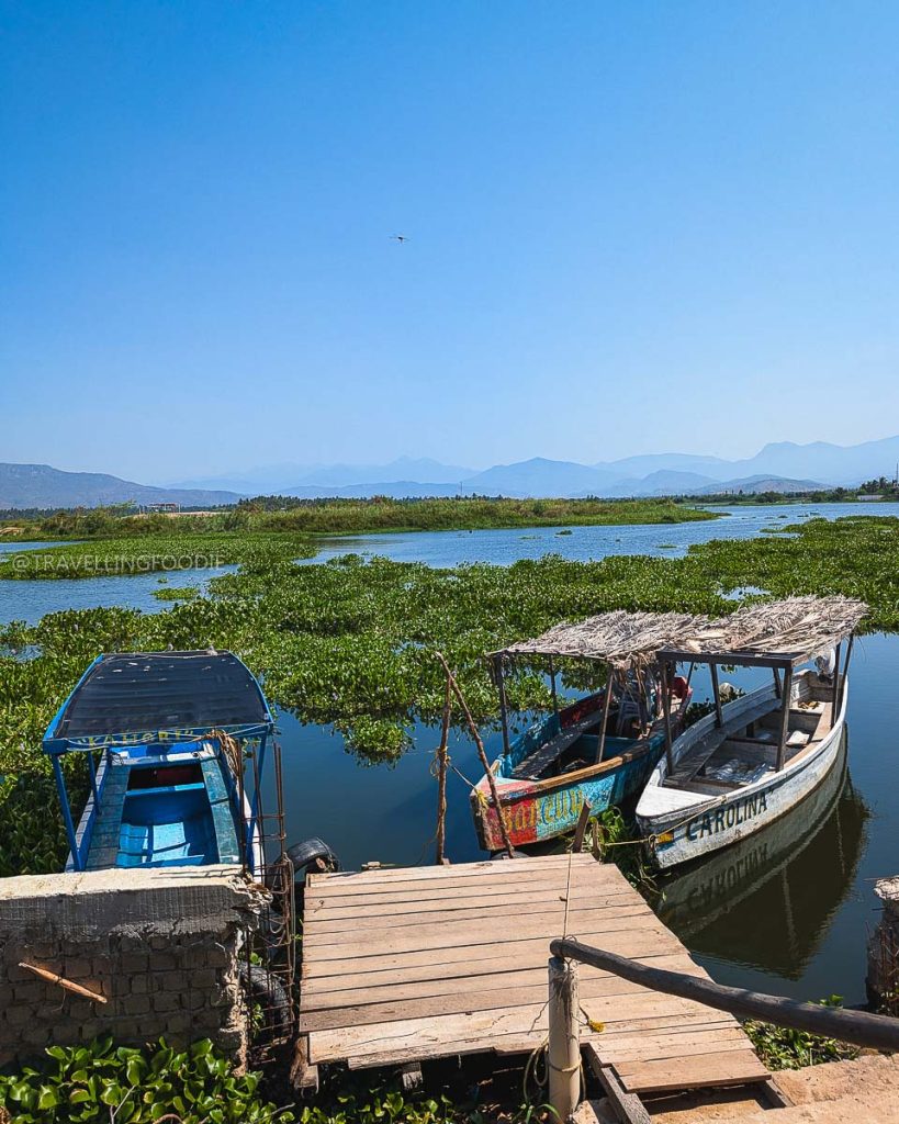 Colorful wooden boats docked at the serene Coyuca Lagoon, a relaxing must do in Acapulco for nature lovers.