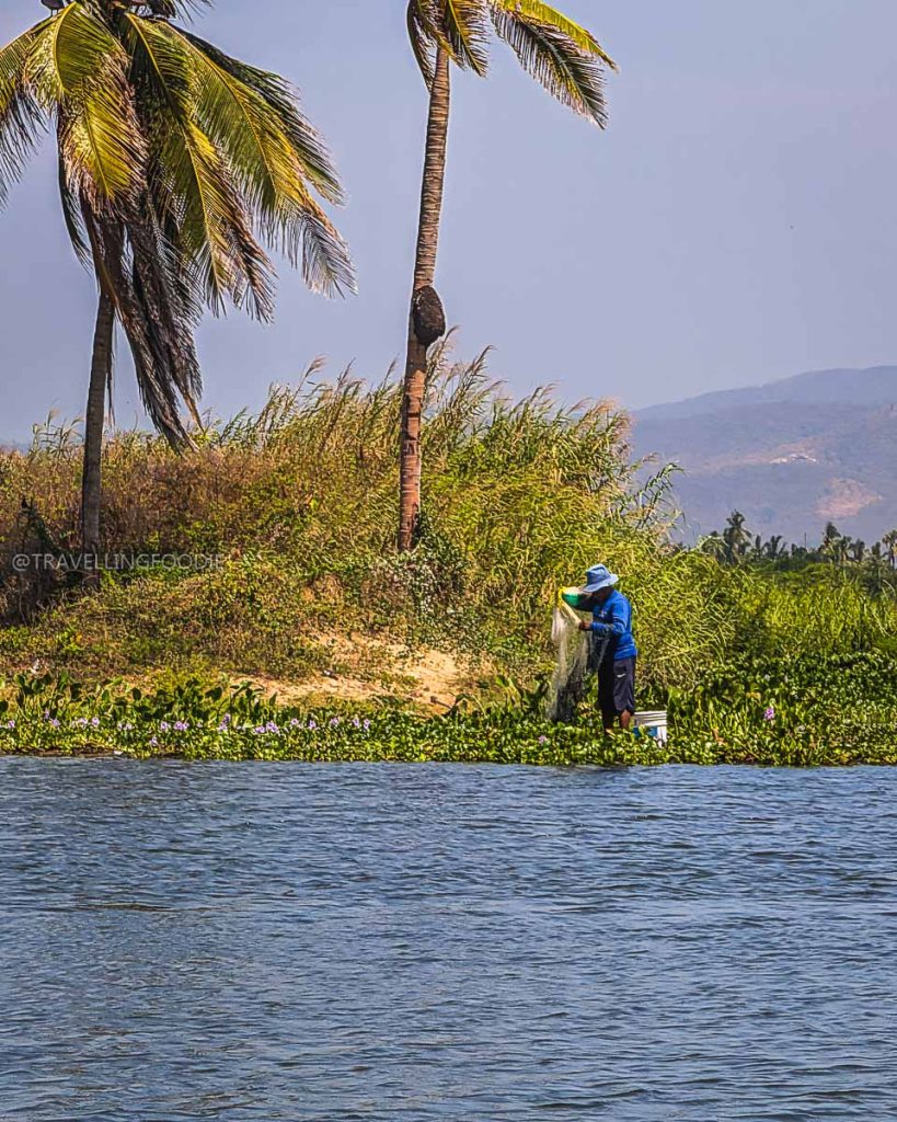 Local fisherman casting a net into the peaceful waters of Coyuca Lagoon, a beautiful Acapulco attraction.