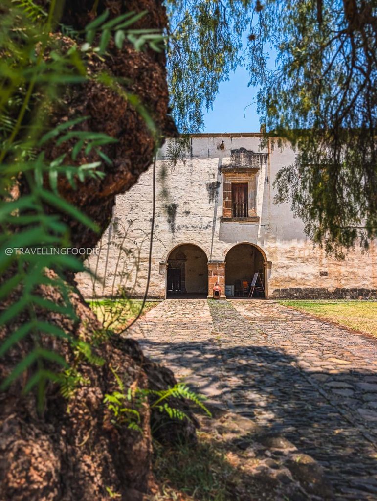 Ancient trees framing the colonial stone archways of a beautiful Michoacan historic convent.