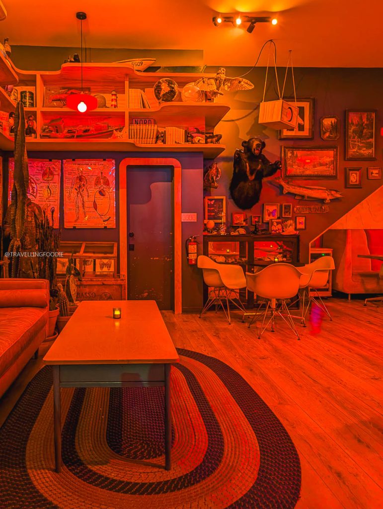 Eclectic interior with unique taxidermy decor at Natural History, a top Ottawa cocktail bar.