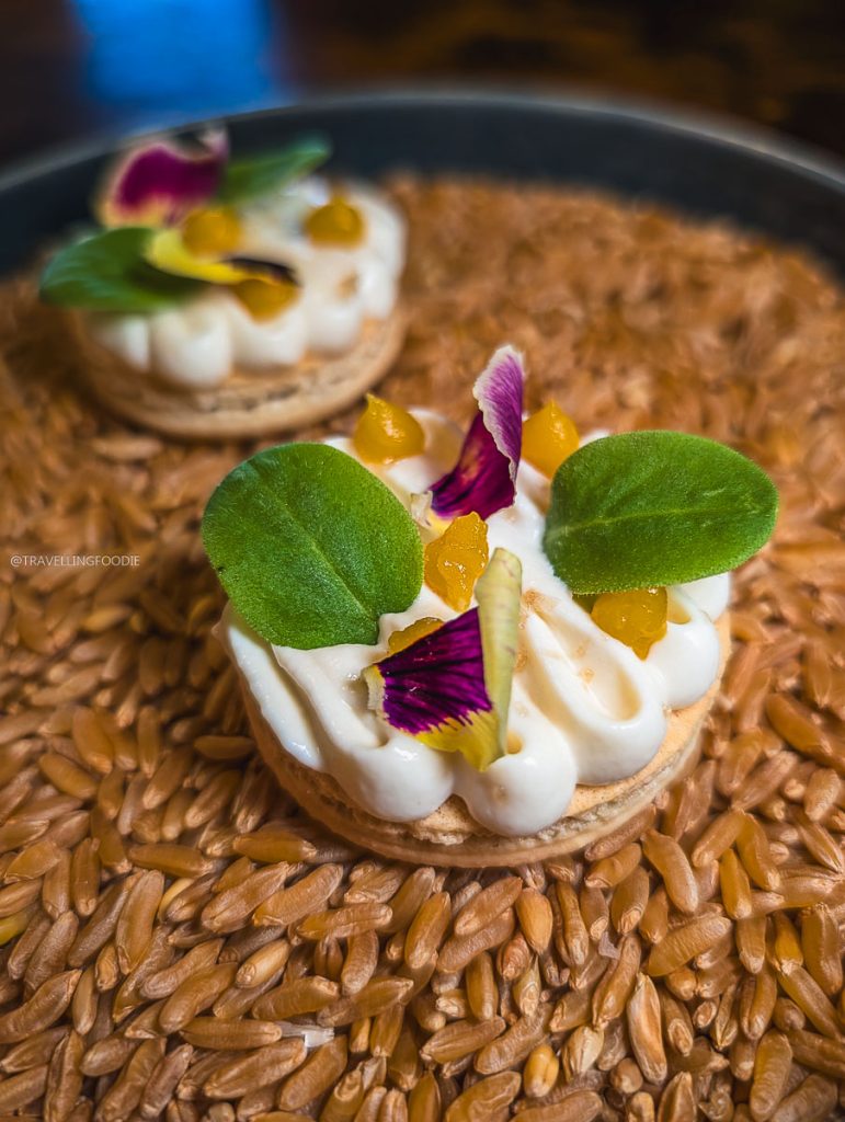 Savory scallop macaron on grains at Perch, a top Ottawa restaurant. Excellent places to eat fine food.