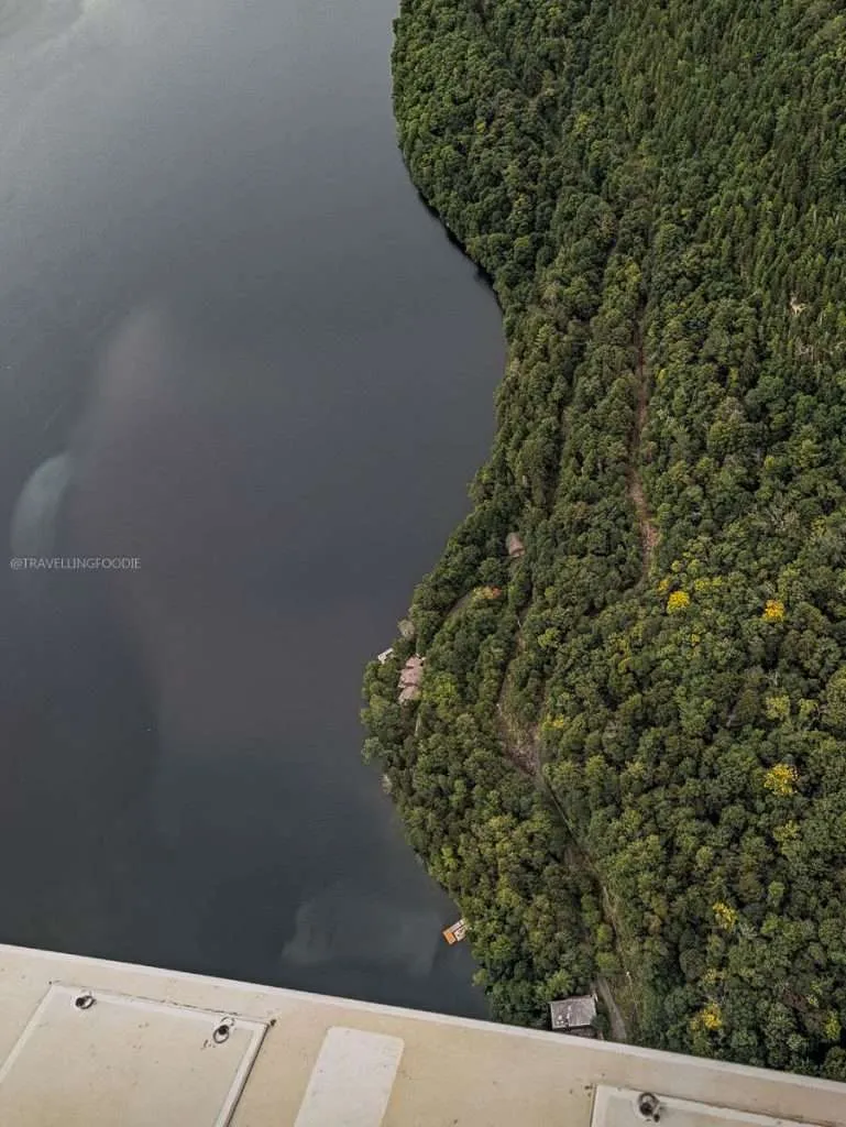 Looking down at the beautiful La Mauricie National Park forest from our seaplane during a Quebec road trip