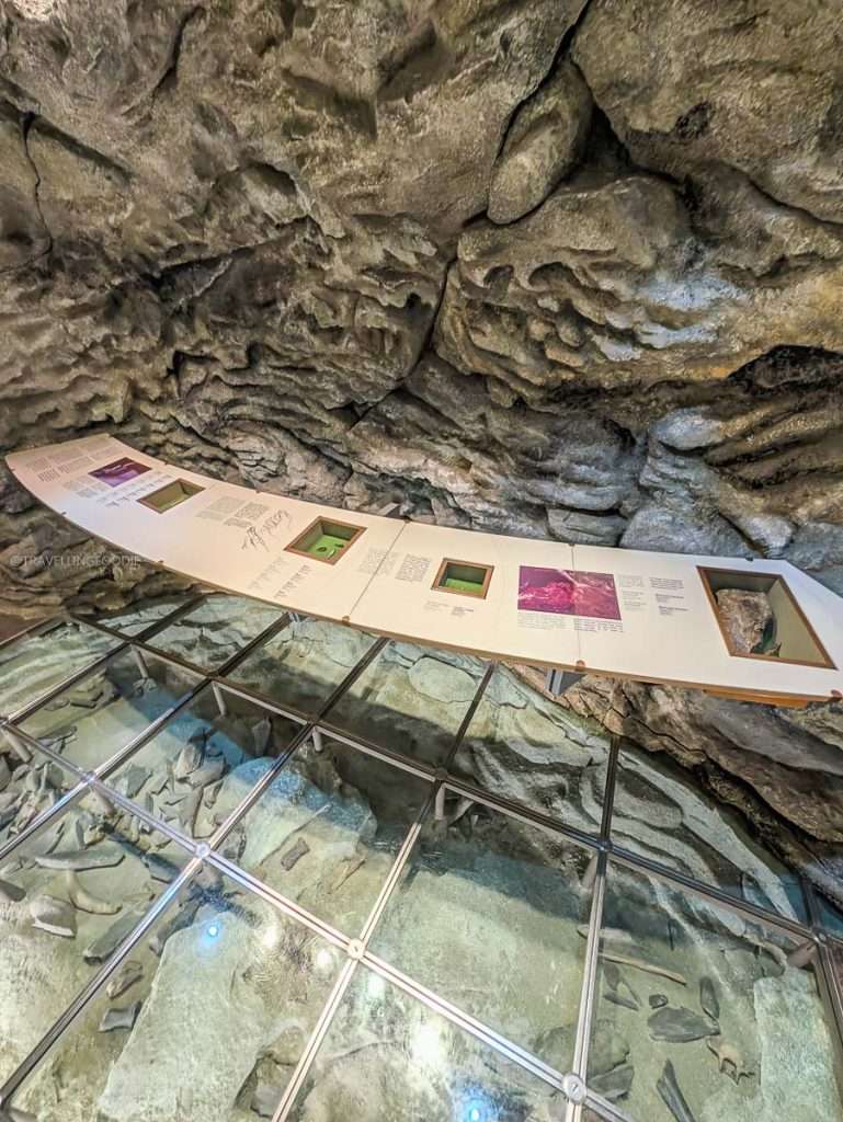 An interactive cave and archaeological exhibit with a glass floor at the Canadian Museum of History in Gatineau.