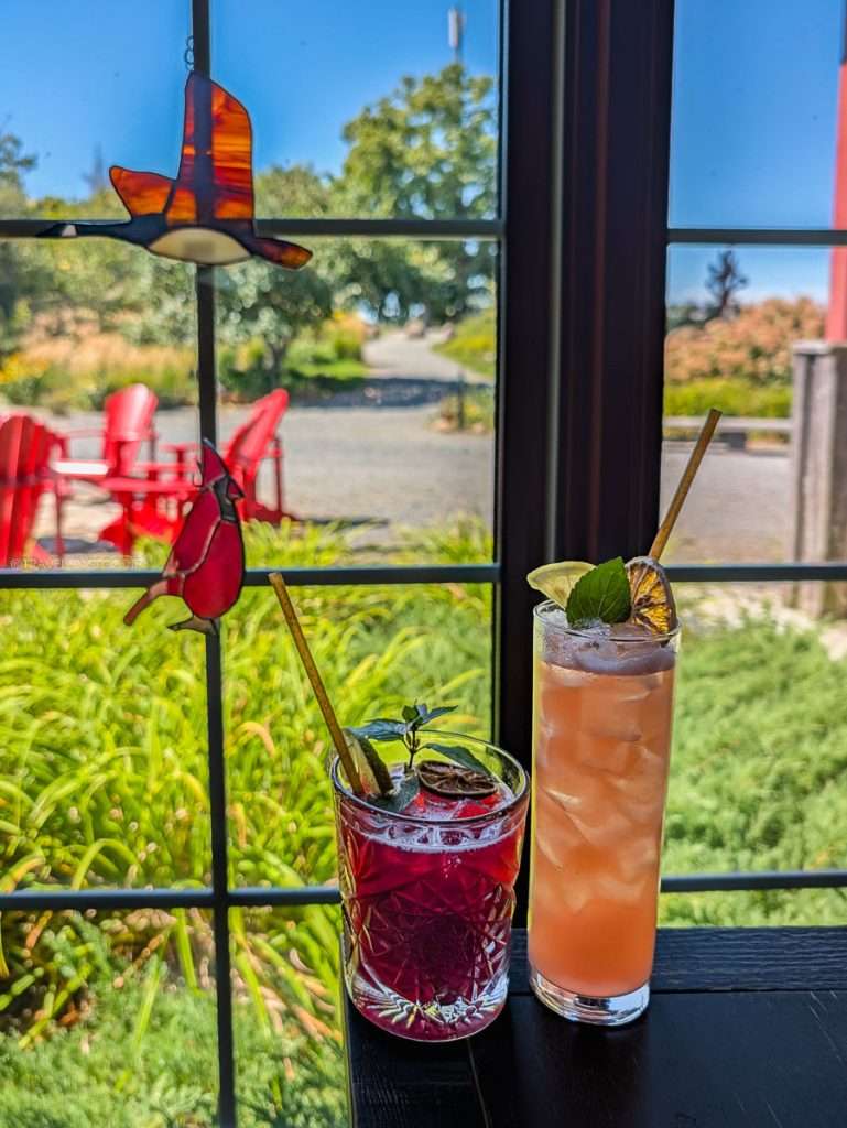Two vibrant refreshing cocktails by the sunny window at Le Baluchon Eco-Cafe during my Quebec road trip