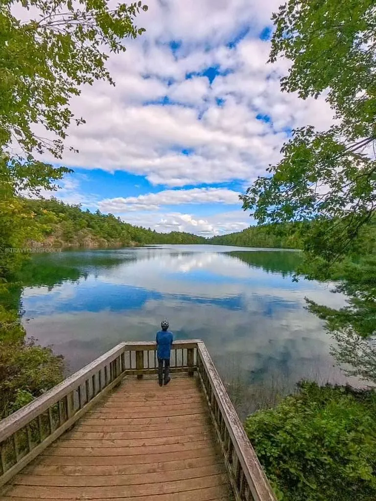 Raymond Cua standing on the wooden dock admiring the green reflections of Pink Lake in Gatineau Park.